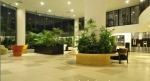 C:\fakepath\6-20-2013 11-31-45 AM.jpg