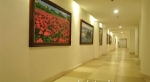 C:\fakepath\6-20-2013 11-31-58 AM.jpg