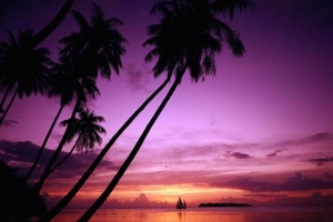 Sunset Sanato: Thiên đường của thiên đường ấy?