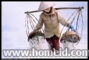 Vietnam’s beauty through the lens of foreign photographers