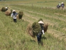 Sửa đổi luật Đất đai: Cần tăng tiền đền bù cho người dân