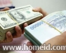 SBV strengthens local forex market management